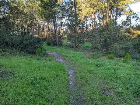 Photo de Parque Verde da Charneca de Caparica