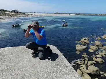 Photo de Roscoff Birding Nature - Découverte des oiseaux