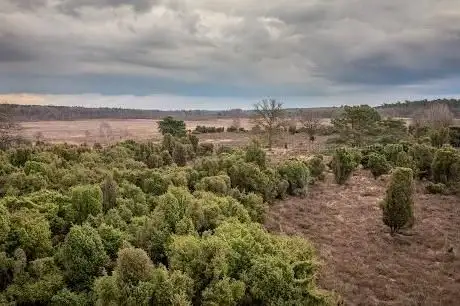 Photo de Aussichtsturm Elmpter Schwalmbruch