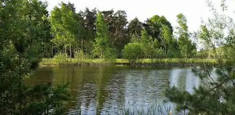 Photo de Terril Waterschei (As)