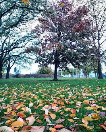 Photo de Parc