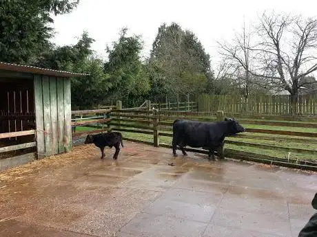 Photo de Ash End House Children's Farm