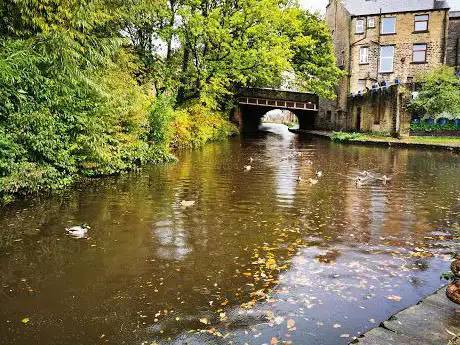 Photo de Tuel Lane Lock