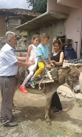 Photo de Child park