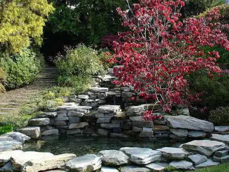 Photo de Panebianco Gardens S.A.S.