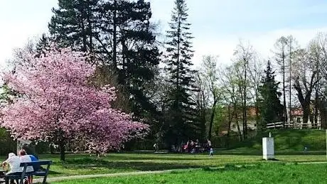 Photo of Stadtpark Neunkirchen