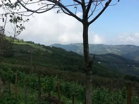 Photo de Tekneli