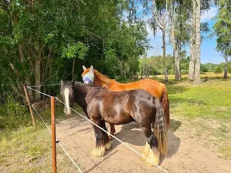 Photo de Avesta Ridklubb