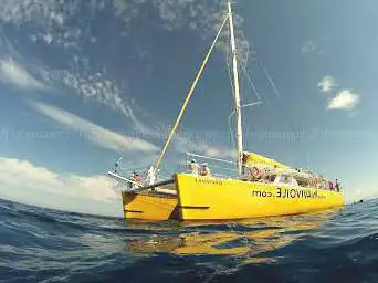 Foto de Catamaran NAVIVOILE