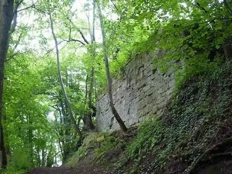 Photo de Burgstall bei Zell Am Ebersberg