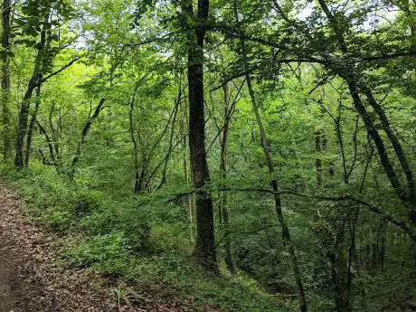 Photo de wandelpad melines