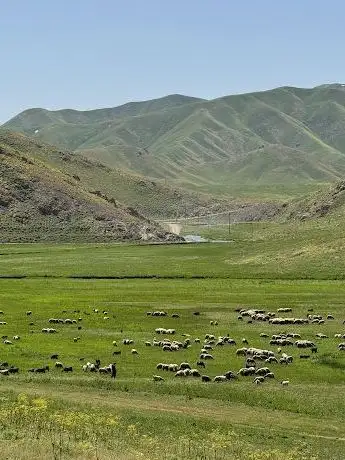 Photo de Yeşilöz faraşin