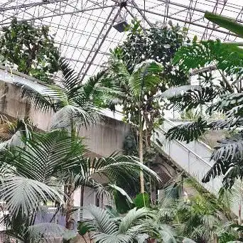 Photo de Serre Équatoriale