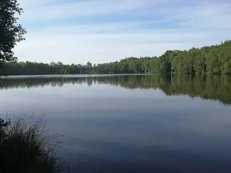 Photo de Reiherteich