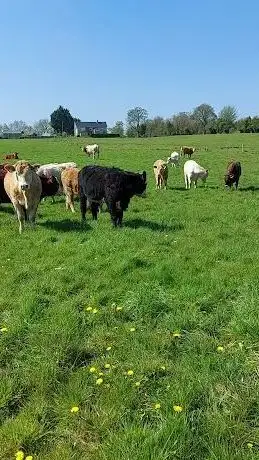 Photo de Ballyconnell to Ballyheady Recreational Trail