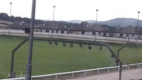 Photo de Enniscorthy Greyhound Stadium
