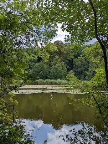 Photo de Forêt domaniale de La Malmaison