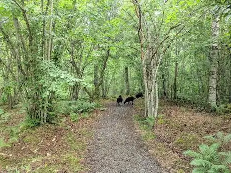 Photo de Qvarnstensgruvan i Lugnås