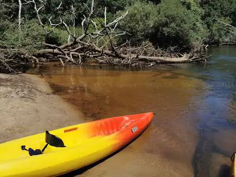 Photo de Canoe-kayak Courant D Eyre Location de canoë sur Leyre