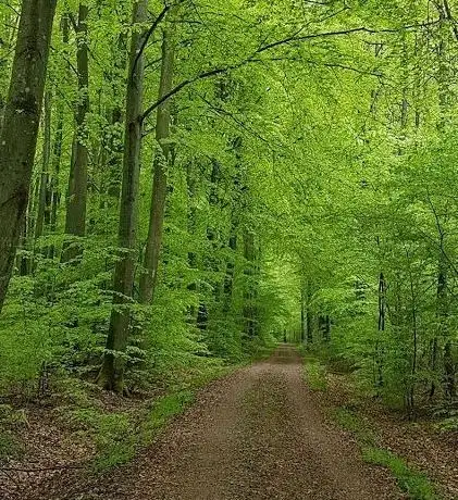 Photo de Bökenäset Naturreservat