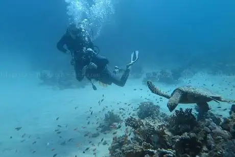 Photo de Scuba World Divers - Marsa Mares