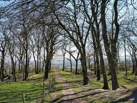 Photo de Billinge Hiking walk