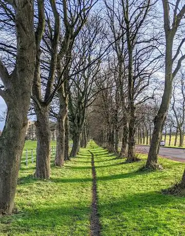 Photo de Dukes Moor