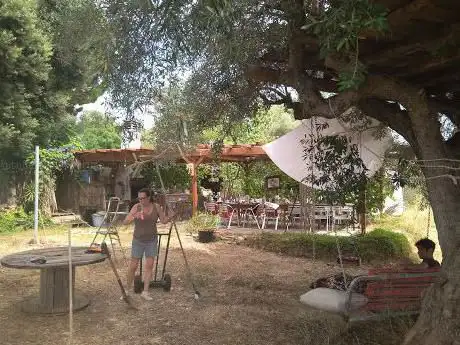 Photo de Baseta Bobalar