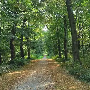 Photo de Stadsbos Deinze of Goed te Parijs