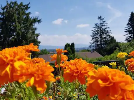Photo de Société d'Hygiène Naturelle de Mulhouse