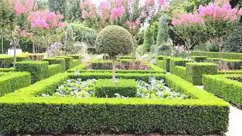 Photo de Arboretum Gaston Allard