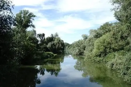 Photo de Baubrücke über den Nordheimer Altrhein