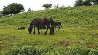 Photo de Olakosaroi Araral Parke Naturala