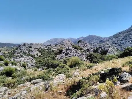Photo de Llanos del Apeo - Los Ãlamos