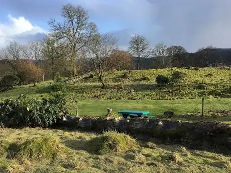 Photo de Kintail Birds of Prey Argyll - Falconry Experiences