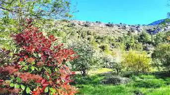 Photo de de Foncaude Botanical Garden