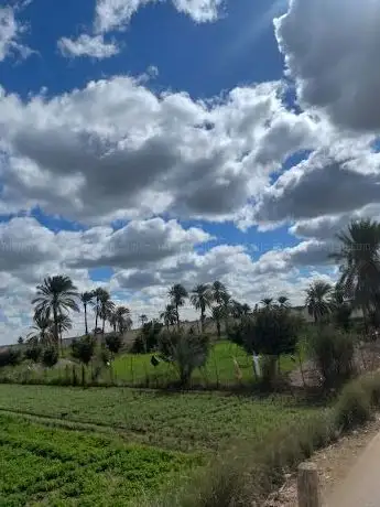 Photo de دلقام شرق