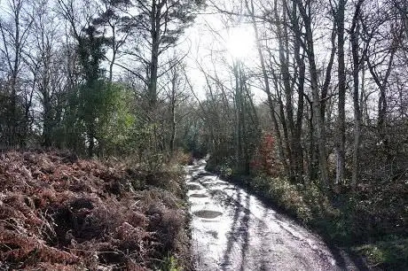 Photo de Kingsley Common