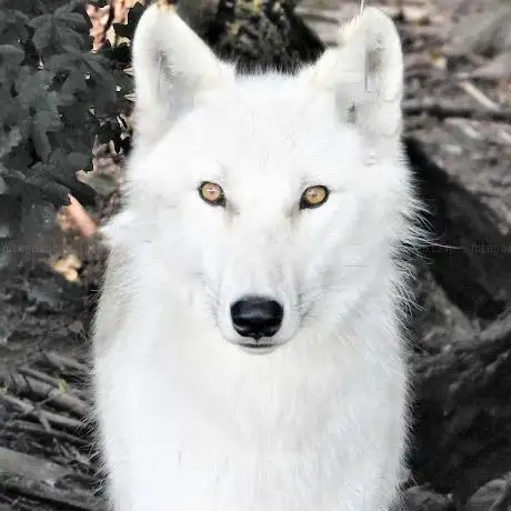 Photo de Schloss Seefeld