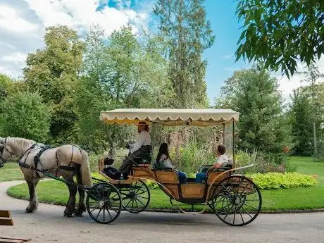 Photo de Les Calèches de la Rive