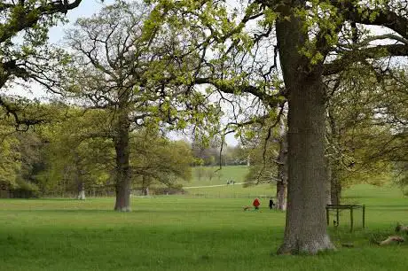 Photo of Parco Regionale delle Orobie Valtellinesi