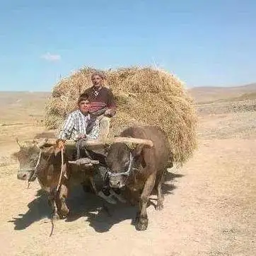 Photo de Belediye Hamamı