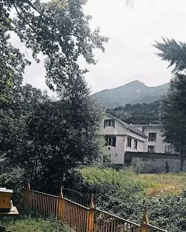 Photo de Baba Çınar Piknik Alanları