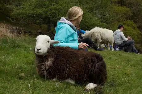 Photo de The Herdwick Experience