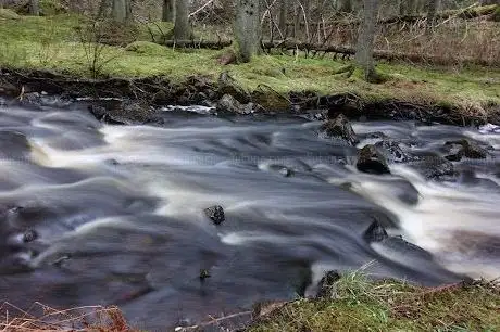 Photo de Bjurforsbäckens Naturreservat