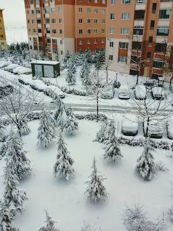 Photo de Child park
