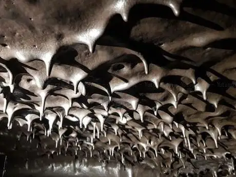 Photo de Tunnels de lave.fr