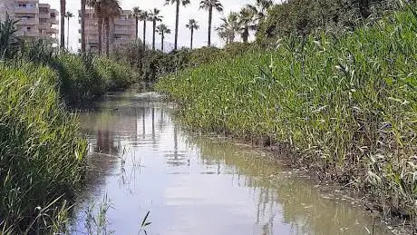 Photo de RÃ­o de Guardamar