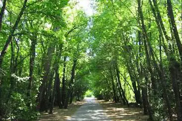 Photo de Marmaris National Park