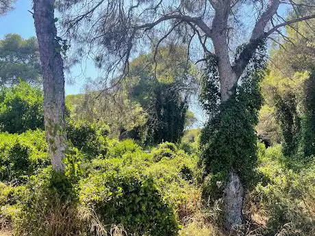 Photo de La Malladeta